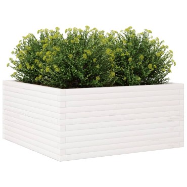 vidaXL Ζαρντινιέρα Κήπου Λευκή 100x100x46 εκ. από Μασίφ Ξύλο Πεύκου