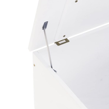 vidaXL Κουτί Αποθήκευσης με Καπάκι RANA Λευκό 60x49x54cm Μασίφ Πεύκο 1 τεμ.
