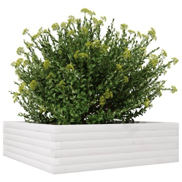 vidaXL Ζαρντινιέρα Κήπου Λευκή 80x80x23 εκ. από Μασίφ Ξύλο Πεύκου