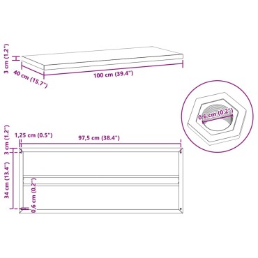 vidaXL Ράφια Τοίχου 2 τεμ. Ασημί 100x40x3cm Ανοξείδωτο Ατσάλι