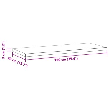 vidaXL Ράφια Τοίχου 2 τεμ. Ασημί 100x40x3cm Ανοξείδωτο Ατσάλι