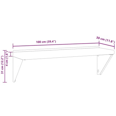 vidaXL Ράφι Τοίχου Ασημί 100x30x31cm Ανοξείδωτο Ατσάλι 1 τεμ.