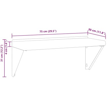 vidaXL Ράφι Τοίχου Ασημί 75x30x31cm Ανοξείδωτο Ατσάλι 1 τεμ.