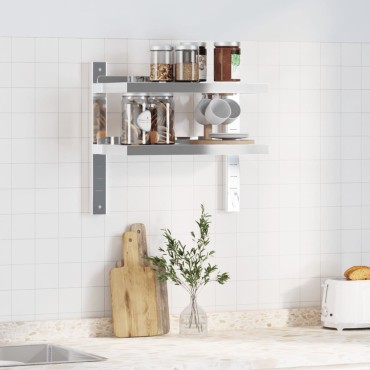 vidaXL Ράφι Τοίχου 2 Επιπ. Ασημί 50x23,5x48cm Ανοξείδωτο Ατσάλι 1 τεμ.
