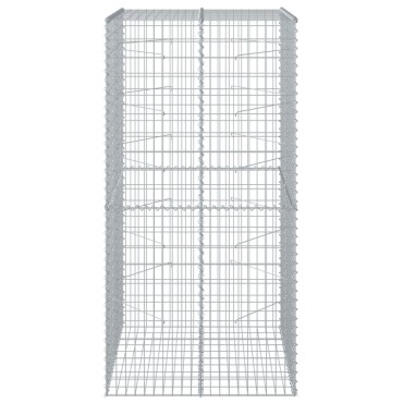 vidaXL Συρματοκιβώτιο με Κάλυμμα 100x100x200εκ από Γαλβανισμένο Χάλυβα