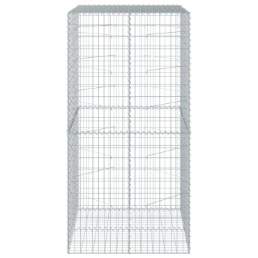 vidaXL Συρματοκιβώτιο με Κάλυμμα 100x100x200εκ από Γαλβανισμένο Χάλυβα