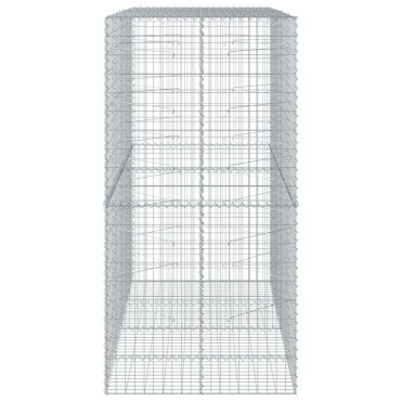 vidaXL Συρματοκιβώτιο με Κάλυμμα 200x100x200εκ από Γαλβανισμένο Χάλυβα