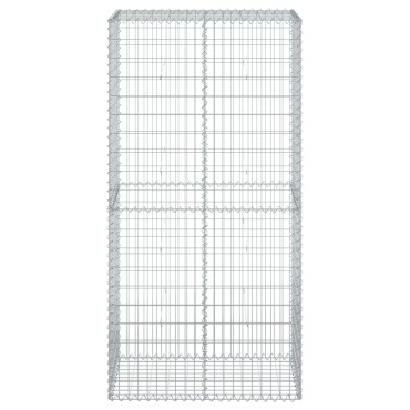vidaXL Συρματοκιβώτιο με Κάλυμμα 100x50x200εκ. από Γαλβανισμένο Χάλυβα