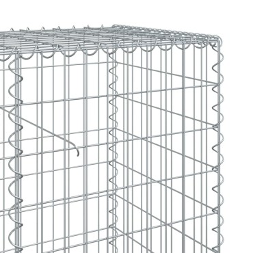vidaXL Συρματοκιβώτιο με Κάλυμμα 1200x50x100εκ από Γαλβανισμένο Χάλυβα