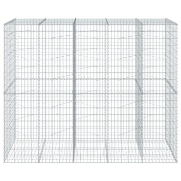 vidaXL Συρματοκιβώτιο με Κάλυμμα 250x100x200εκ από Γαλβανισμένο Χάλυβα
