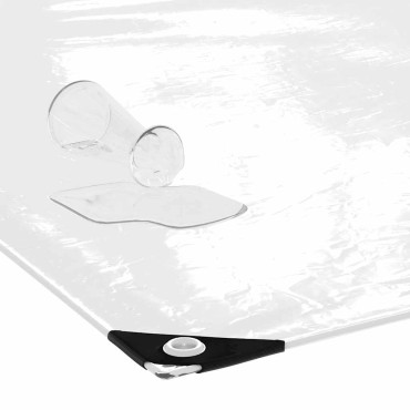 vidaXL Σαφής μουσαμάς με οπές 3x10 m PVC