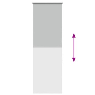 vidaXL Ρολέρ Μπλακάουτ ανοιχτό γκρι 60x150 cm Πλάτος υφάσματος 55,7cm
