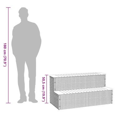 vidaXL Βήμα υδρομασάζ Μαύρο 100x50x50,5 εκ. Συνθετικό Ρατάν/Ακακίας