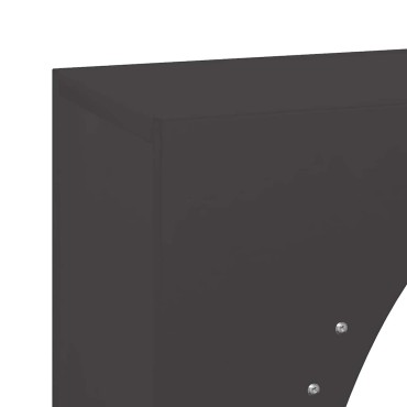 vidaXL Ράφι Καυσόξυλων Μαύρο 50x23x100 εκ. Χάλυβας ψυχρής έλασης