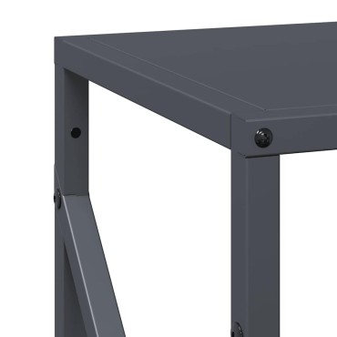 vidaXL Ράφι για καυσόξυλα Ανθρακί 34x25x100 cm Ατσάλι ψυχρής έλασης
