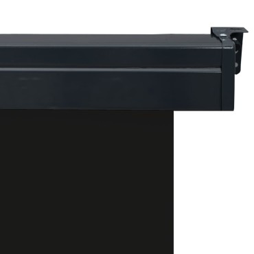 vidaXL Σκίαστρο Βεράντας Πλαϊνό Μαύρο 125 x 250 εκ.