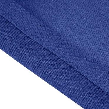 vidaXL Χαλί Σκηνής Μπλε 300 x 600 εκ. από HDPE