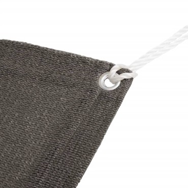 vidaXL Χαλί Σκηνής Ανθρακί 250 x 250 εκ. από HDPE