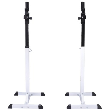 vidaXL Ορθοστάτης Μπάρας/Squat Rack με Σετ Μπάρα και Αλτήρες 30,5 κ.