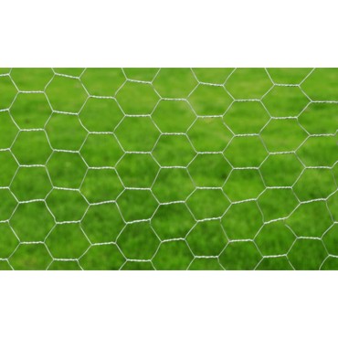 vidaXL Συρματόπλεγμα Κοτετσόσυρμα Ασημί 25x1 μ. Γαλβαν. Ατσάλι