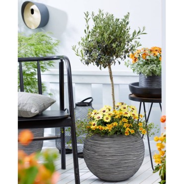 Capi Βάζο Nature Rib Σφαιρικό Ανθρακί 40 x 32 εκ. KOFZ270