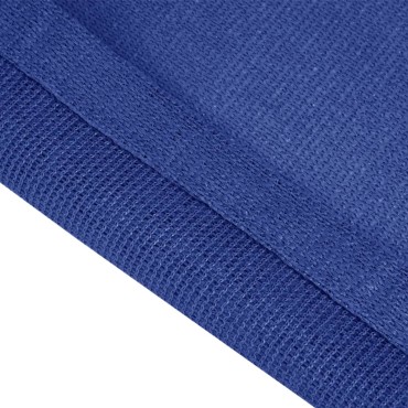 vidaXL Χαλί Σκηνής Μπλε 250 x 500 εκ.