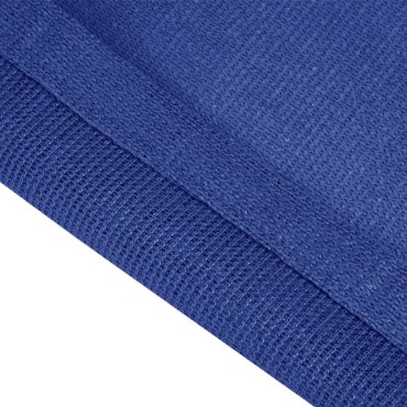 vidaXL Χαλί Σκηνής Μπλε 200 x 300 εκ. από HDPE