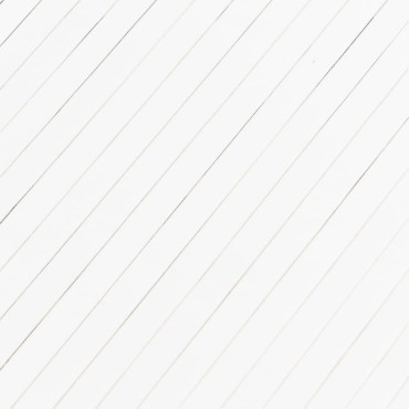 vidaXL Διαχωριστικό Δωματίου Λευκό 165x400cm από Μπαμπού 1 τεμ.