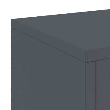 vidaXL Εξωτερικά Στηρίγματα Φυτών Pillar 2 τμχ Ανθρακί 24x24x55 εκ Ατσάλι