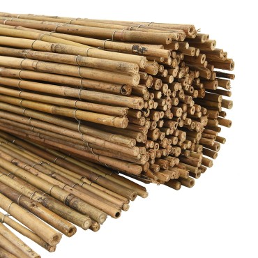 Fence Μπαμπού vidaXL 300x150 εκ.