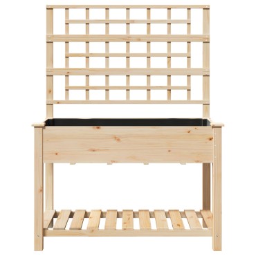 vidaXL Κήπος Γλάστρα με Πλέγμα & Ράφι 115x59x152 εκ Μασίφ Ξύλο Πεύκου