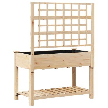 vidaXL Κήπος Γλάστρα με Πλέγμα & Ράφι 115x59x152 εκ Μασίφ Ξύλο Πεύκου