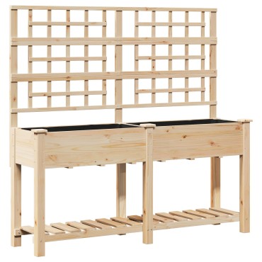 vidaXL Κήπος Γλάστρα με Πλέγμα & Ράφι 161x43x152 εκ. Μασίφ ξύλο πεύκου