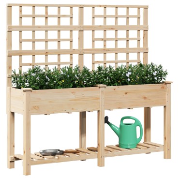 vidaXL Κήπος Γλάστρα με Πλέγμα & Ράφι 161x43x152 εκ. Μασίφ ξύλο πεύκου