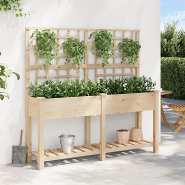 vidaXL Κήπος Γλάστρα με Πλέγμα & Ράφι 161x43x152 εκ. Μασίφ ξύλο πεύκου