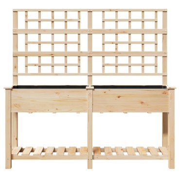 vidaXL Κήπος Γλάστρα με Πλέγμα & Ράφι 161x43x152 εκ. Μασίφ ξύλο πεύκου