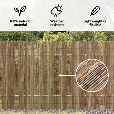vidaXL Κήπος καλάμι φence 300x160 εκ
