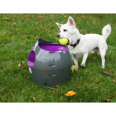 PetSafe Εκτοξευτής Μπαλών Αυτόματος 9 μ. Γκρι και Μοβ