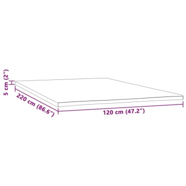 vidaXL Ανώστρωμα 120x220x5 εκ.