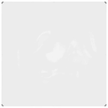 vidaXL Σαφής μουσαμάς με οπές 2x2 m PVC