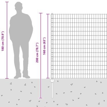 vidaXL Ευρωπαϊκό Φράχτη με 10 Υποστήριγμα Γκρι 1,6x10 μ Σίδερο