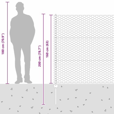 vidaXL Εξαγωνική Φράχτη με Στύλο 100x1,6 μ Γαλβανισμένος Χάλυβας