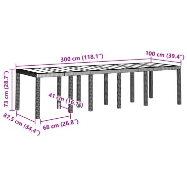 vidaXL Τραπέζι Κήπου Ανοιχτό Γκρι 300x100x73cm Πολυ Ρατάν 1 τεμ.