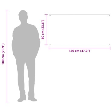 vidaXL Διάφανος Πίσω Τοίχος Κουζίνας 120x60x0,6 εκ Γυαλί Ανθεκτικό