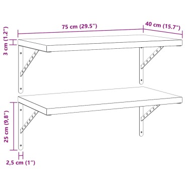 vidaXL Ράφια Τοίχου 2 τεμ. Ασημί 75x40cm Ανοξείδωτο Ατσάλι
