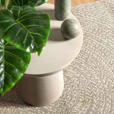 vidaXL Χαλί ZIZUR Κρεμ Όψη Γιούτας Εσωτ. & Εξωτ. Χώρου 60x110cm