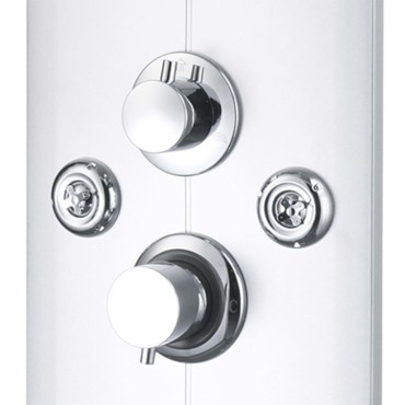 vidaXL Στήλη Ντους Υδρομασάζ Ασημί 25 x 43 x 120 εκ.