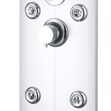 vidaXL Στήλη Ντους Υδρομασάζ Ασημί 25 x 43 x 120 εκ.