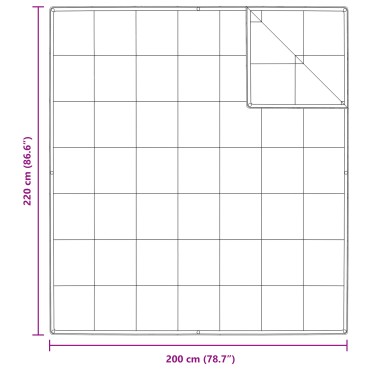 vidaXL Κουβέρτα 2 σε 1 Λευκό 200 x 220 cm Φτερό
