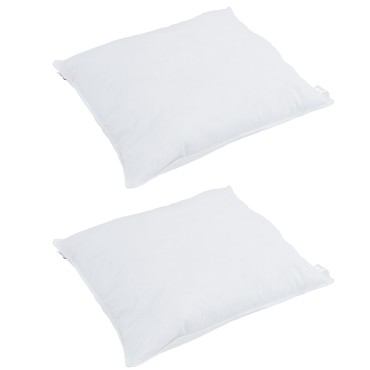 vidaXL Μαξιλάρι 2 τμχ. 40 x 40 cm Φτερό Λευκό